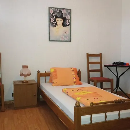 Pansion Helvetia Guest house